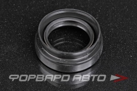 NOK  BW3684E0 Сальник 39*59*12/21,5 (б/н) рез. две пружины 3314256E00 87569