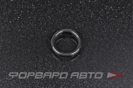 MAZDA  B25F61J17 Кольцо уплотнительное  246366