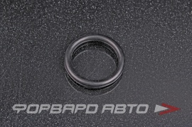 NOK  OR03.00_019.00 Кольцо уплотнительное маслостойкое 19*3  29110