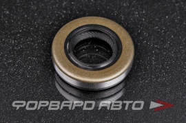 TCS  F00149 Сальник высокого давления 16*30*6,3 (б/н) мет. 1РМA P05954 90100141 HAZ0463 HA0463 435N10031Z 66843