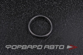 NOK  OR01.50_017.00 Кольцо уплотнительное маслостойкое 17*1,5  51800