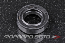 NOK  AEE634A0 Сальник 15*24*7 (б/н) рез. AE0584F 87471