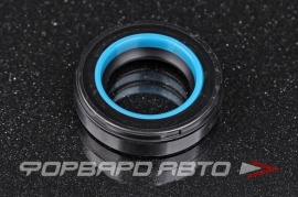 NOK  BP3379F Сальник высокого давления 22*35*8,5 9031122014 BP3379F0 HAZ0833CS HA0833 F00219 410N10369Z 05138