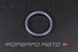 NOK  CO1341N2 Кольцо уплотнительное системы охлаждения MD030764 161884780 228206