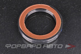 FEBEST  95GBY42590909L Сальник 40,8*59,2*8,8 9638559580 9822498480 3009.24 172373