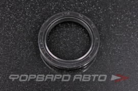 NQK  24*32*4TC Сальник 24*32*4 (TC)  234982