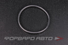 NOK  OR04.00_067.00 Кольцо уплотнительное маслостойкое 67*4  97395