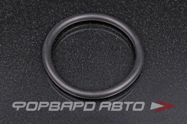 NOK  OR06.00_060.00 Кольцо уплотнительное маслостойкое 60*6 0600726 0 60*72*6 60x72x6 51755