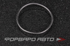 BMW  31511213527 Кольцо уплотнительное 31511212387 RRME390 QF41C00024 28676