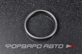 TOYOTA  9672124031 Кольцо уплотнительное масляного насоса  146126