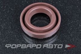 TTO  D8128 Сальник свечного колодца 26*48*10/11 (б/н) рез. 1119315010 1119302010 1119376020 LF479Q11003203A TCP004 TCP006 00647500 TPT503 EZ8155A0 NAZ0317A0 THS9163 NAZ0317A0 GPT5002 23182