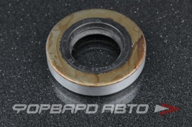 MUSASHI  T1049 Сальник 28*53*10 (б/н) мет. ADD014A0 9031128001 9031128060 08055
