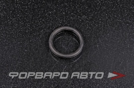 NOK  OR02.50_017.00 Кольцо уплотнительное маслостойкое 17*2,5 1111037 150666N201 9030117009 29048