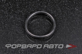TOYOTA  9672324020 Кольцо уплотнительное  157086